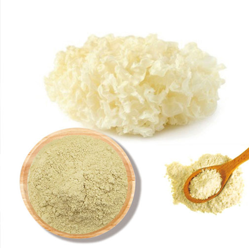 Tremella Fuciformis Polysaccharide