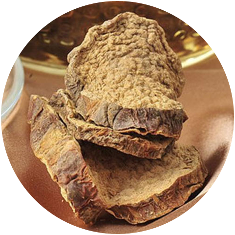 Functions of Cistanche Tubulosa Extract (Verbascoside 9%min)