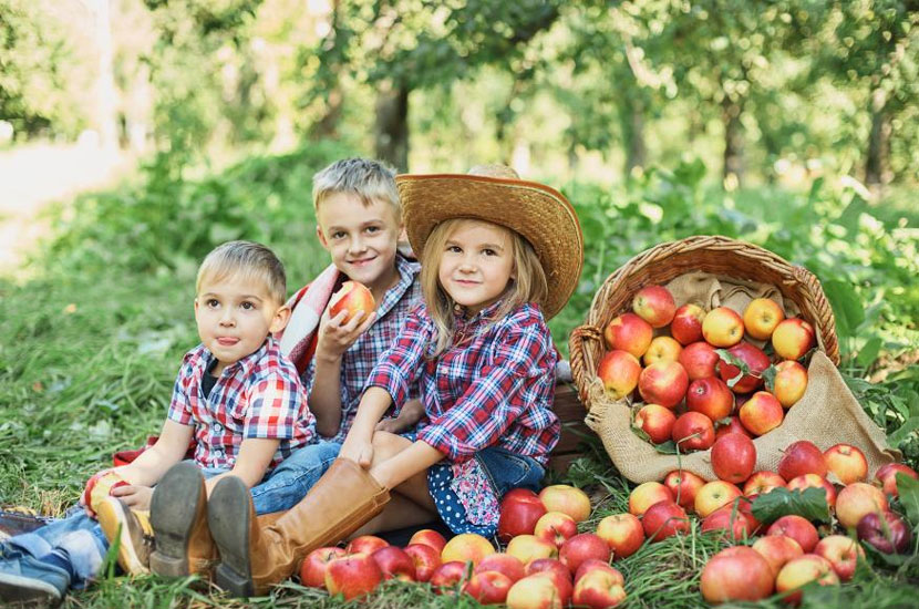 Vitamins Powder Wholesale And Minerals for Children