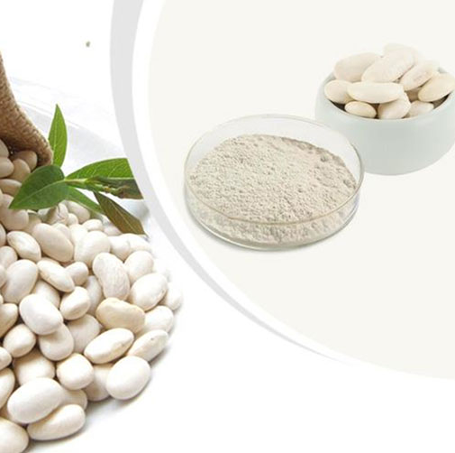 White Kidney Bean Extract