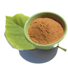White Mulberry Leaf Extract 