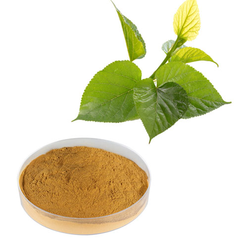 White Mulberry Leaf Powder